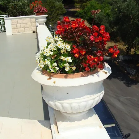 Gorica دوبروفينك